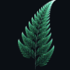 JavaScript tutorial on the fern fractal